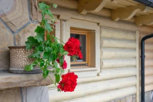 confort premium case traditionale