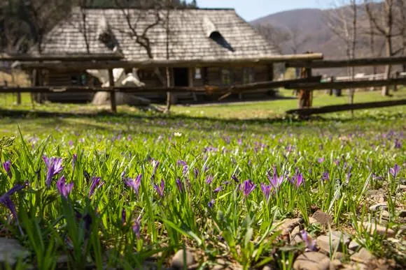 de ce aleg case traditionale