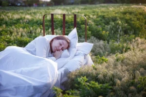 Alegerea cazării perfecte în Porumbacu de Sus
